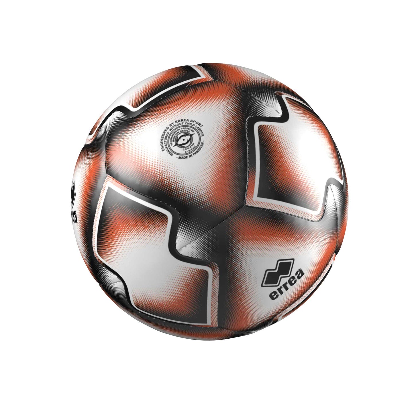 COLLEGE ID PALLONE