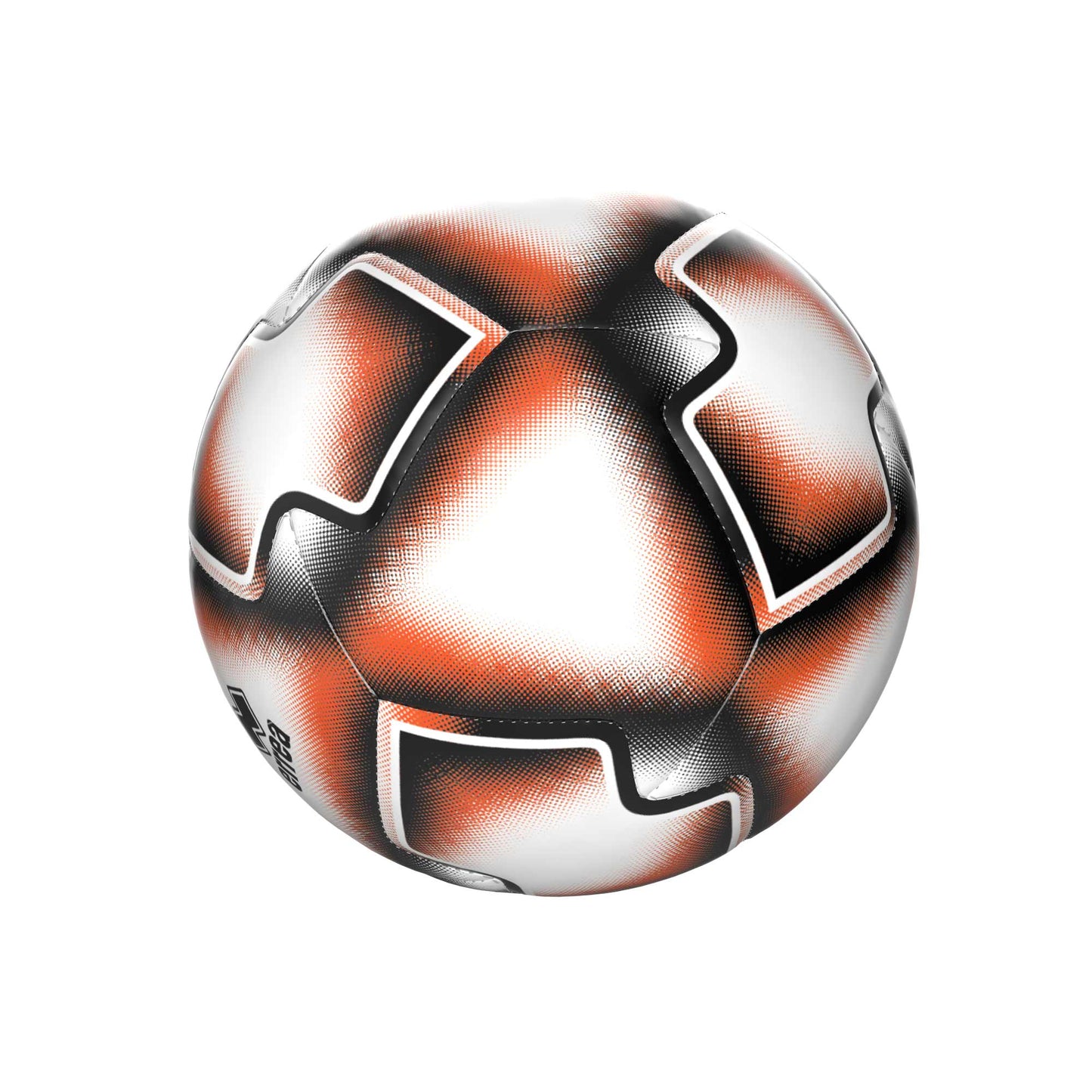 COLLEGE ID PALLONE
