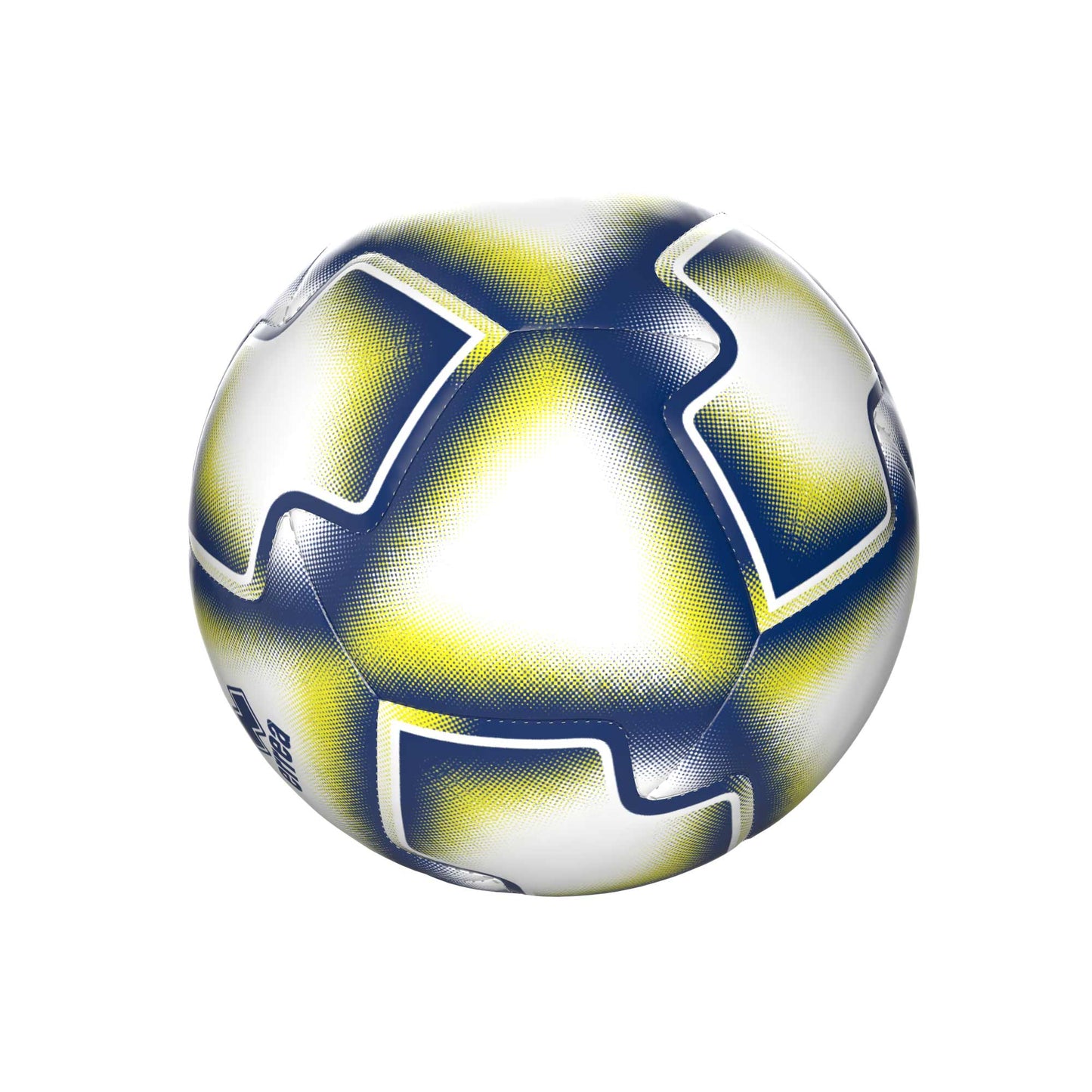 COLLEGE ID PALLONE